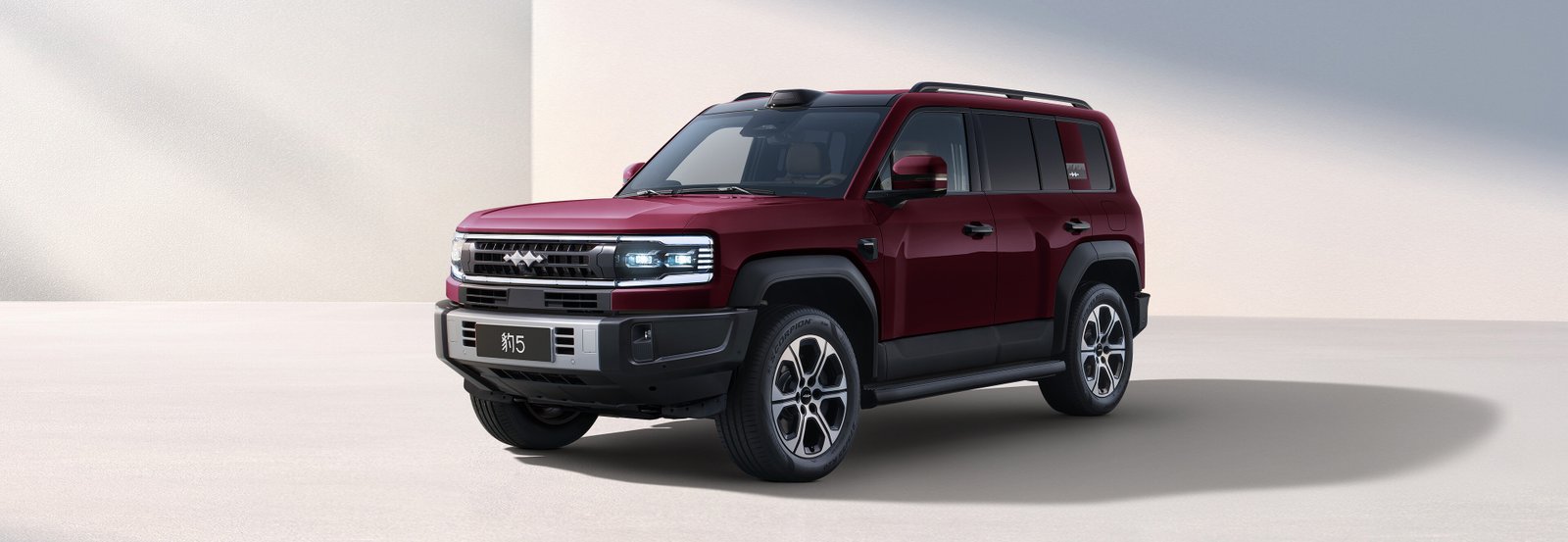 ალისფერი ქვიშის წითელი – ექსტერიერი