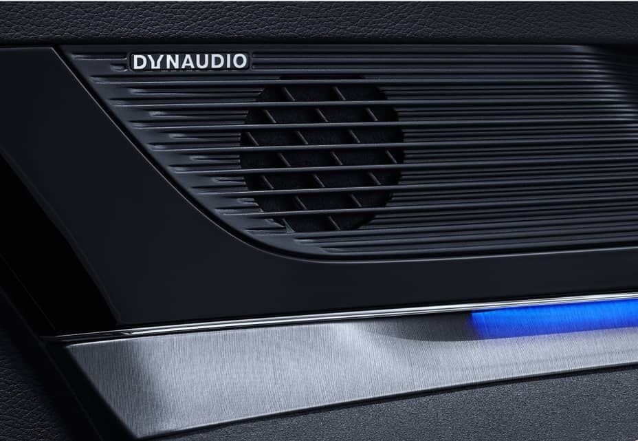 პრემიუმ Dynaudio სისტემა